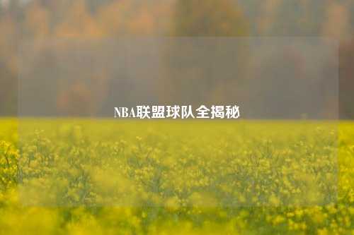 NBA联盟球队全揭秘