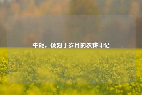 牛轭,镌刻于岁月的农耕印记