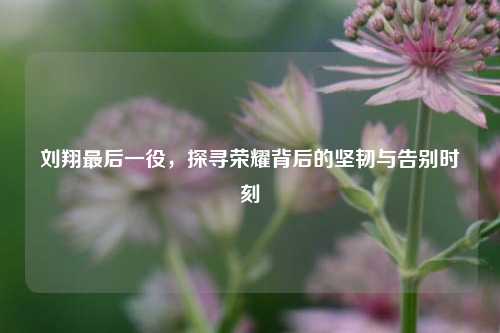 刘翔最后一役,探寻荣耀背后的坚韧与告别时刻
