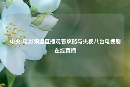 中央6电影频道直播观看攻略与央视八台电视剧在线直播