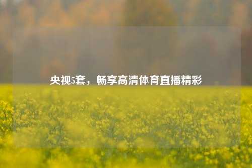 央视5套,畅享高清体育直播精彩