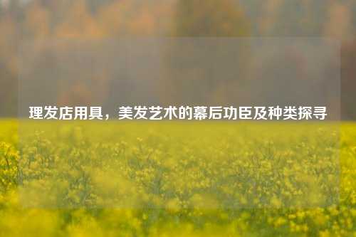 理发店用具,美发艺术的幕后功臣及种类探寻