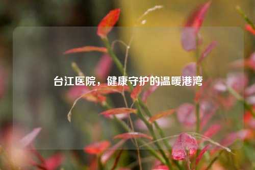 台江医院,健康守护的温暖港湾