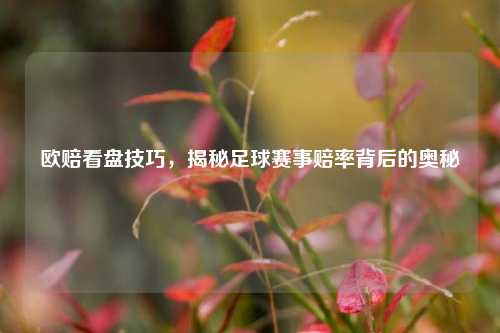欧赔看盘技巧,揭秘足球赛事赔率背后的奥秘