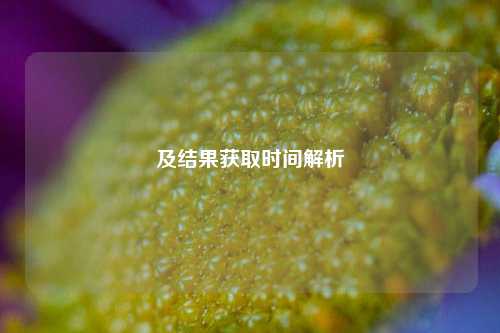 及结果获取时间解析