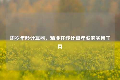 周岁年龄计算器,精准在线计算年龄的实用工具