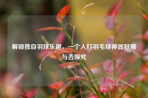 解锁独自羽球乐趣,一个人打羽毛球神器好用与否探究
