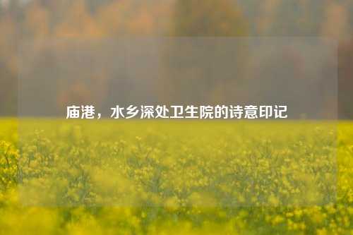 庙港,水乡深处卫生院的诗意印记