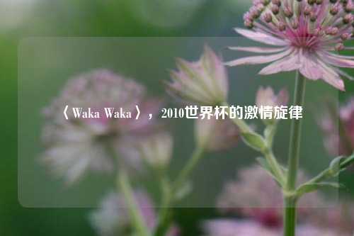 〈Waka Waka〉,2010世界杯的 旋律