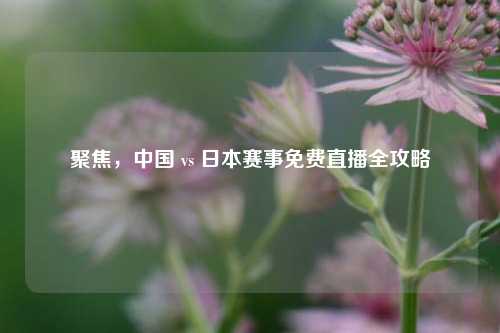 聚焦,中国 vs 日本赛事免费直播全攻略