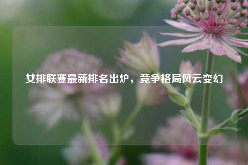 女排联赛最新排名出炉,竞争格局风云变幻