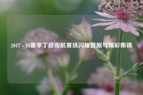 2017 - 18赛季丁彦雨航赛场闪耀数据与精彩集锦