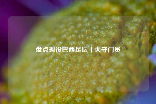 盘点现役巴西足坛十大守门员