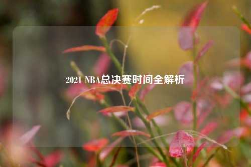 2021 NBA总决赛时间全解析