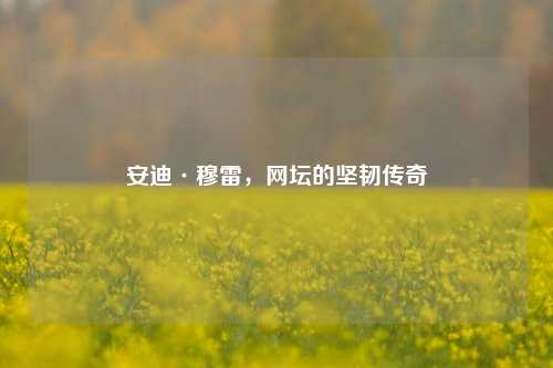 安迪·穆雷,网坛的坚韧传奇