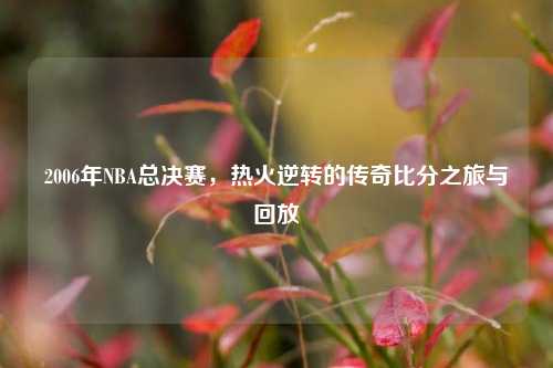 2006年NBA总决赛,热火逆转的传奇比分之旅与回放