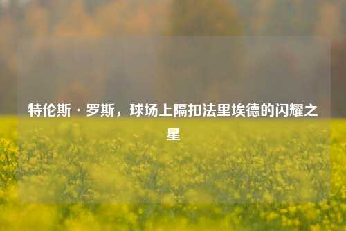 特伦斯·罗斯,球场上隔扣法里埃德的闪耀之星