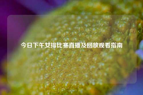 今日下午女排比赛直播及回放观看指南