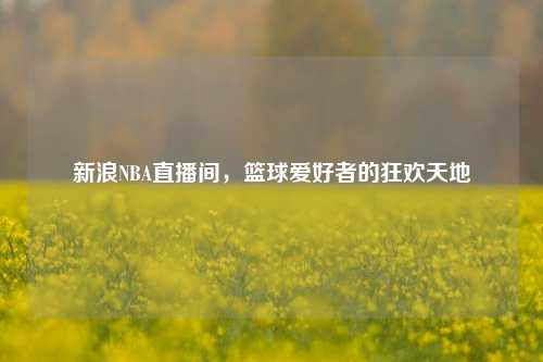 新浪NBA直播间,篮球爱好者的狂欢天地