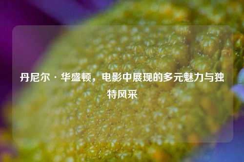 丹尼尔·华盛顿,电影中展现的多元魅力与独特风采