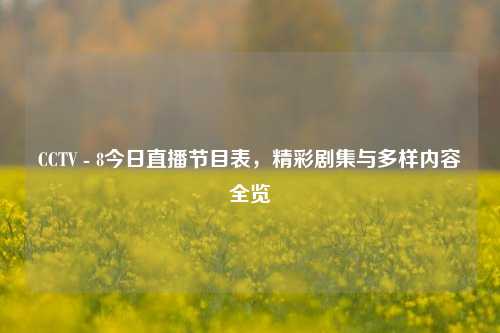 CCTV - 8今日直播节目表,精彩剧集与多样内容全览