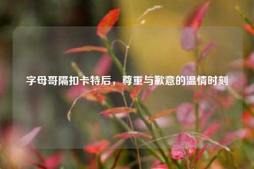 字母哥隔扣卡特后,尊重与歉意的温情时刻