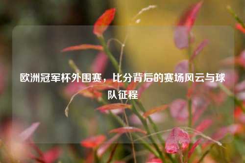 欧洲冠军杯外围赛,比分背后的赛场风云与球队征程