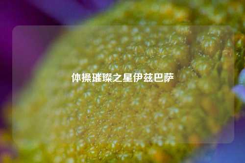 体操璀璨之星伊兹巴萨