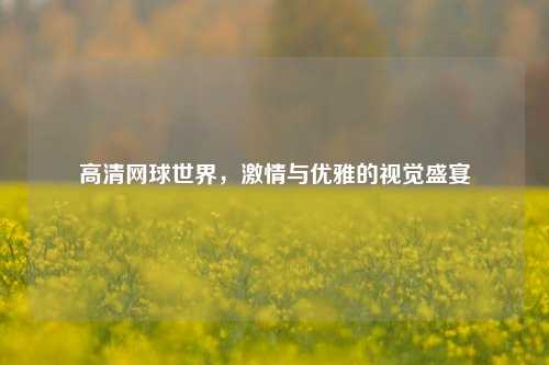 高清网球世界, 与优雅的视觉盛宴