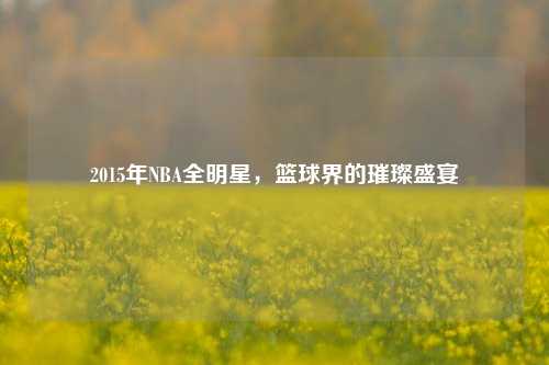 2015年NBA全明星,篮球界的璀璨盛宴
