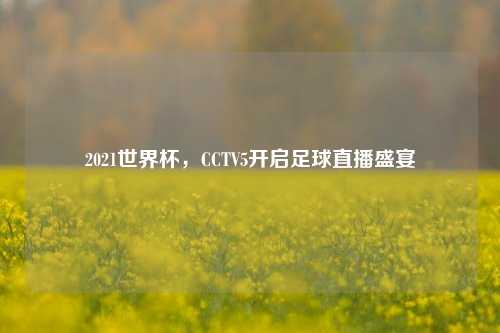 2021世界杯,CCTV5开启足球直播盛宴