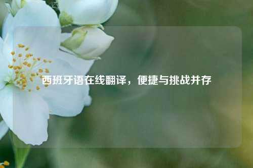 西班牙语在线翻译,便捷与挑战并存
