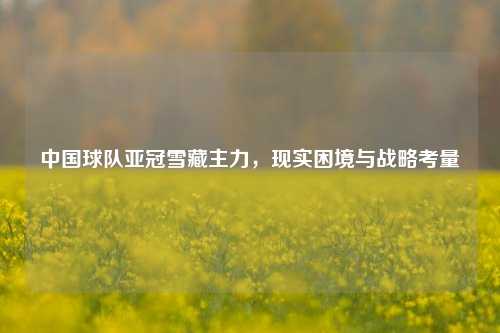 中国球队亚冠雪藏主力,现实困境与战略考量