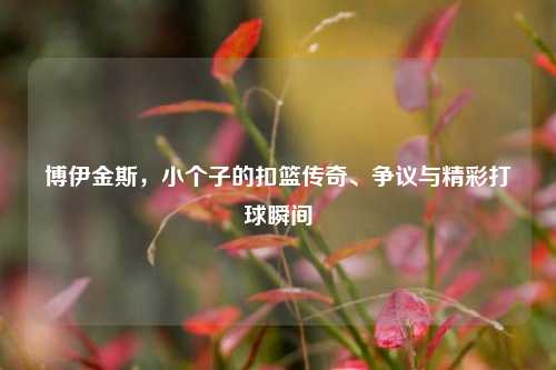 博伊金斯,小个子的扣篮传奇、争议与精彩打球瞬间
