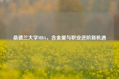 桑德兰大学MBA,含金量与职业进阶新机遇