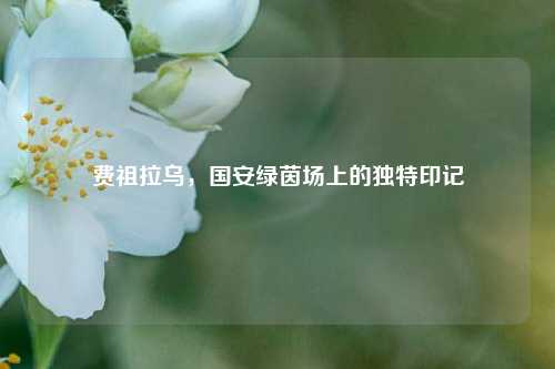 费祖拉乌,国安绿茵场上的独特印记