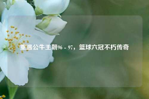 重温公牛王朝96 - 97,篮球六冠不朽传奇