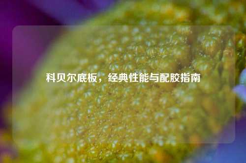 科贝尔底板,经典性能与配胶指南