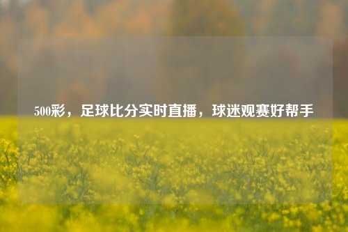 500彩,足球比分实时直播,球迷观赛好帮手