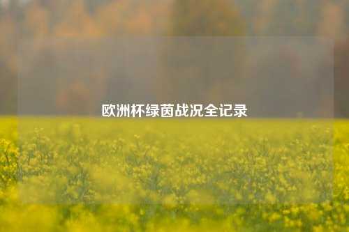 欧洲杯绿茵战况全记录