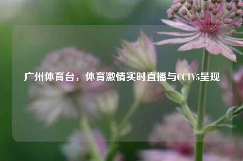 广州体育台,体育 实时直播与CCTV5呈现