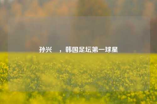 孙兴慜,韩国足坛之一球星