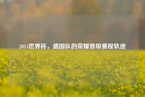 2014世界杯,德国队的荣耀晋级赛程轨迹