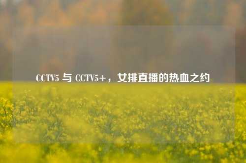 CCTV5 与 CCTV5+,女排直播的热血之约
