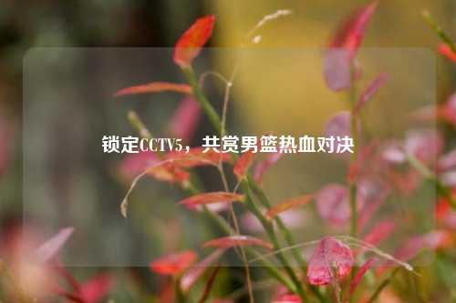 锁定CCTV5,共赏男篮热血对决