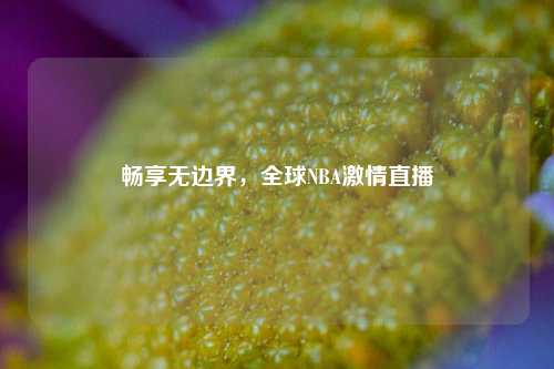 畅享无边界,全球NBA 直播