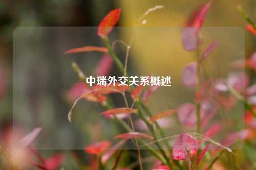 中瑞外交关系概述