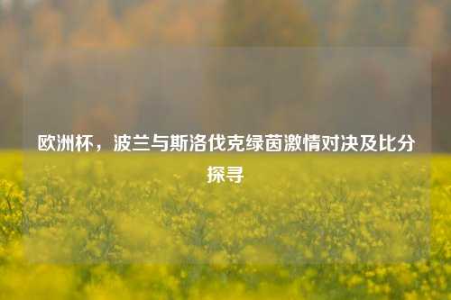 欧洲杯,波兰与斯洛伐克绿茵 对决及比分探寻