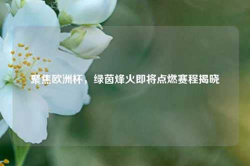 聚焦欧洲杯,绿茵烽火即将点燃赛程揭晓