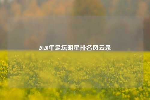 2020年足坛明星排名风云录